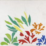 06.Acanthes