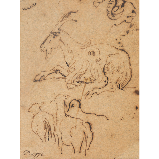 GIUSEPPE PALIZZI Lanciano, 1812 - Passy, 1888<br>Studio di animali <br>Firmato Palizzi in basso a si