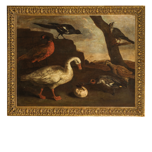 PIETRO NERI SCACCIATI (attr. a) (Firenze ? - 1749)<br>Natura viva<br>Olio su tela, cm 102X133