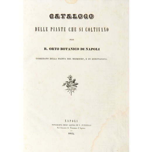 [ECONOMIA - AGRARIA] TENORE Michele (1810-1838). Catalogo delle piante che si coltivano nel R. Orto 