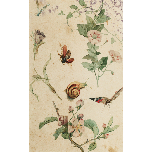 PITTORE DEL XIX SECOLO <br>Natura morta con farfalla e fiori<br>Acquarello su carta, cm 24X17