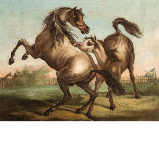 PITTORE INGLESE DEL XVIII - XIX SECOLO Due cavalli<br>Olio su tela, cm 31X40