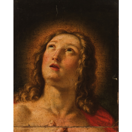 PIETRO DANDINI (attr.a) (Firenze, 1646 - 1712)<br>Testa di giovane<br>Olio su tela, cm 52X42