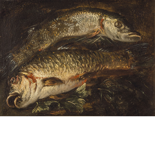 FELICE BOSELLI (Piacenza, 1650 - Parma, 1732) <br>Natura morta di pesci<br>Olio su tela, cm 30X40